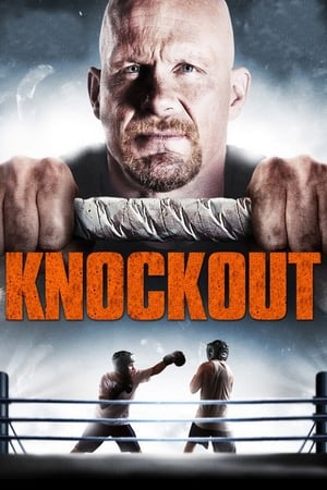 Born to Fight 2011 Hindi Dual Audio [1.3GB] HD Poster Download - Filmyzilla