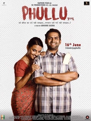 Phullu 2017 300MB Full Movie DTHRip Download HD Poster Download - Filmyzilla
