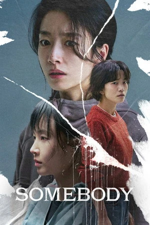 Somebody 2025 Hindi - Korean Dual Audio