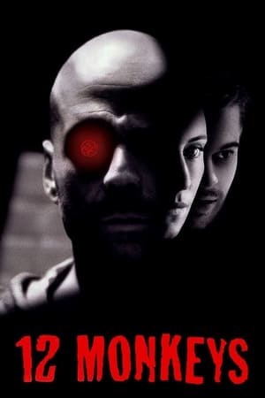 Twelve Monkeys (1995) Hindi Dual Audio Movie - 2.9GB HD Poster Download - Filmyzilla