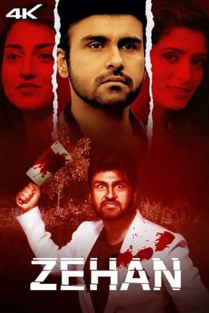 Zehan 2024 Hindi – HD Poster Download - Filmyzilla